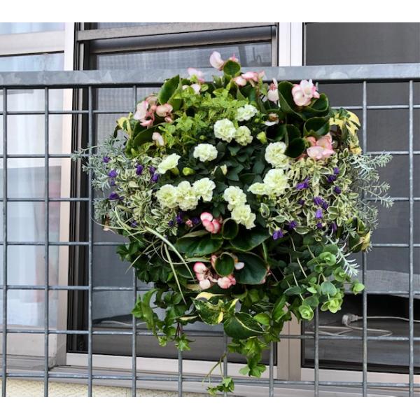 壁掛けお月見ガーランド　秋色紫陽花　パンパスグラス　おたふく南天 壁掛けお月見ガーランド秋色紫陽花パンパスグラスおたふく南天