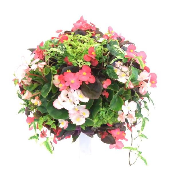 夏のハンギングバスケット ベゴニアとはい性トレニア Hbs 406 ガーデンエルフ Yahoo 店 通販 Yahoo ショッピング