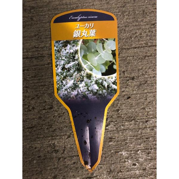 ���[�J�� ��ۗt 7�� ��� ��� ��v �����y ���i�摜3