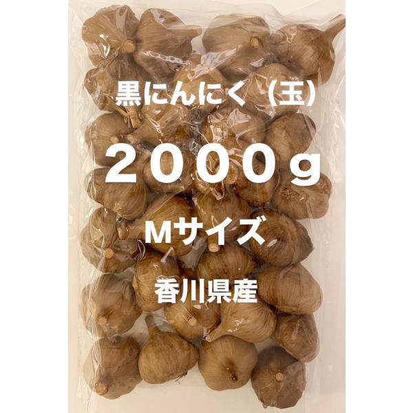 安心国産　熟成黒にんにく 2kg 玉売り garden-story_70102s-1-2-0