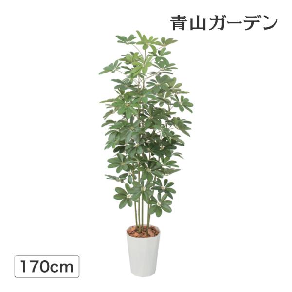 観葉植物 シェフレラ - 造花・アーティフィシャルフラワーの人気商品 