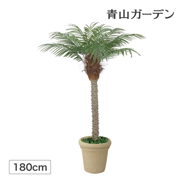 タカショー 人工観葉植物 造花 業務用 施設 オフィス 店舗 装飾