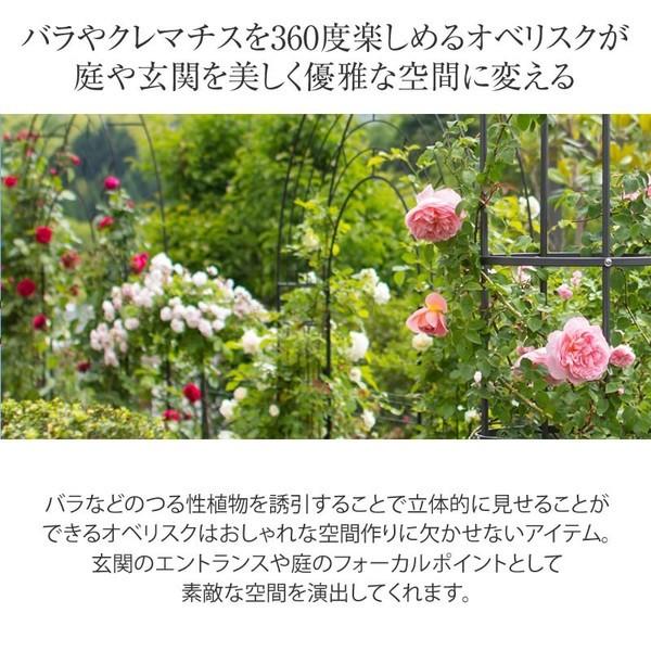 つる性 トレリス オベリスク ガーデニング バラ オベリスク クレマチス 庭 庭 誘引 テラス タカショー 誘引 スリム ベランダ バルコニー プライムオベリスク ショート A 青山ガーデン 当店の記念日人気殺到