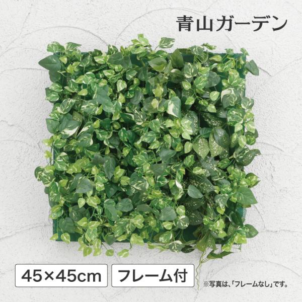 ポトス アレンジの人気商品 通販 価格比較 価格 Com