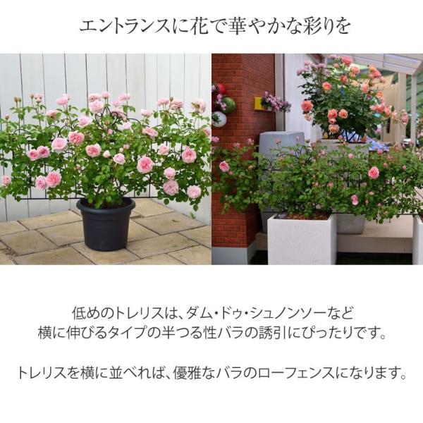 フェンス 誘引 バラ デザイントレリス トレリス タカショー 目隠し タカショー おしゃれ 庭 ガーデニング つる性 デザイントレリス 4枚組 青山ガーデン 5 クレマチス 目かくし C