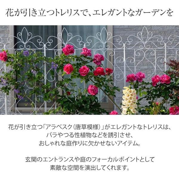 宅送 トレリス フェンス バラ クレマチス 誘引 つる性 目隠し 目かくし おしゃれ タカショー デザイントレリススリム1800レッド4枚 C 超人気新品売れ筋