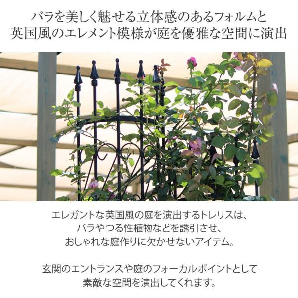 フェンス バラ クレマチス 半円 トレリス 目かくし 目かくし おしゃれ クレマチス 目隠し ラウンドトレリスｍ C 誘引 つる性 タカショー 2枚組 青山ガーデン