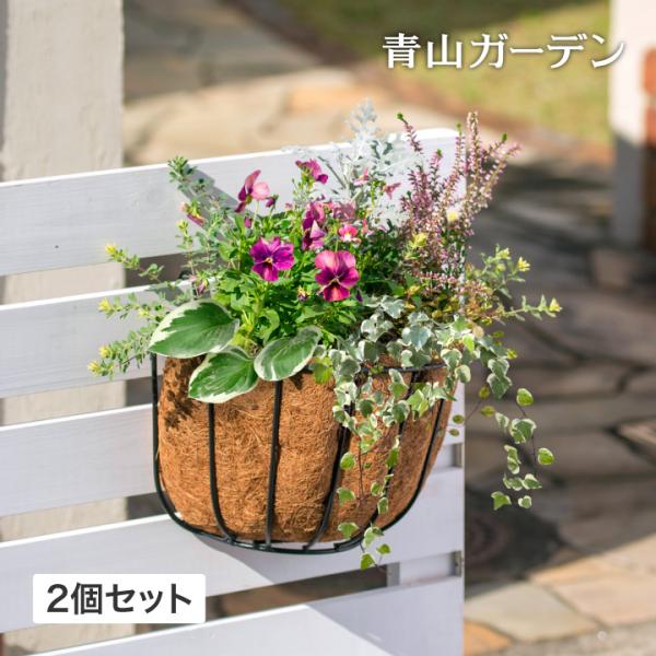 LINE友達登録で10%offクーポン】 ハンギング 鉢 プランター ガーデン タカショー Qsui AQUA ウォールハンギングバスケット2個セット /A :37860900:青山ガーデン ヤフー店 通販 タカショー(Takasho) ウォールハンギングバスケット M