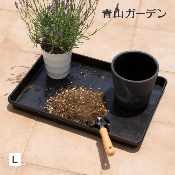 garden_50898300