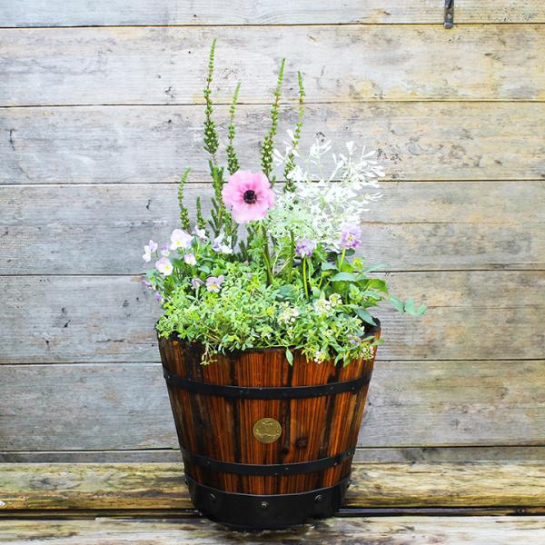 タカショー ＼【期間限定】2026/1/15まで／寄せ植え 苗 花 花苗