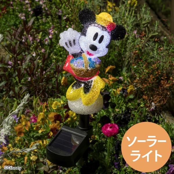 ディズニーイルミネーション特集 青山ガーデン