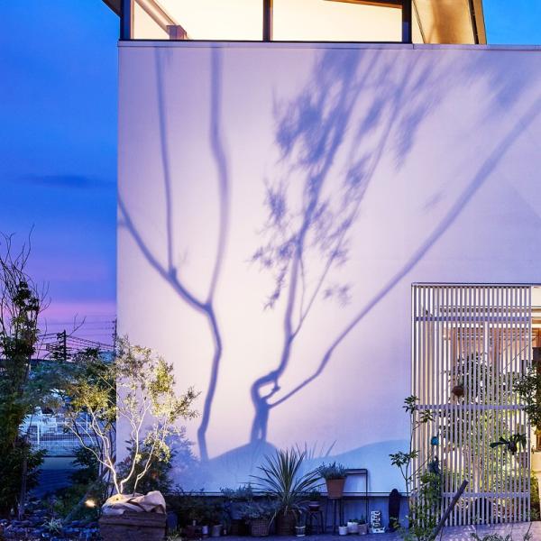 ライト Led 屋外 ローボルト 低電圧 照明 明るい Diy タカショー ひかりノベーション 木のひかり 基本セット A Buyee Buyee Japanese Proxy Service Buy From Japan Bot Online