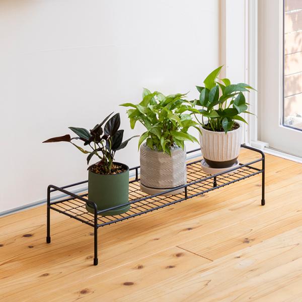 ■商品名：シンプルプラントスタンド スクエア S■コード：98915700インテリアにも映えるプラントスタンド。フチがあるので鉢が落下しにくい、小さな鉢も置けるメッシュ構造。【商品詳細】サイズ：約幅60.5cm×奥行20.5cm×高さ15c...