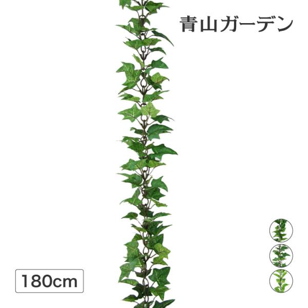 garden_v-21736600