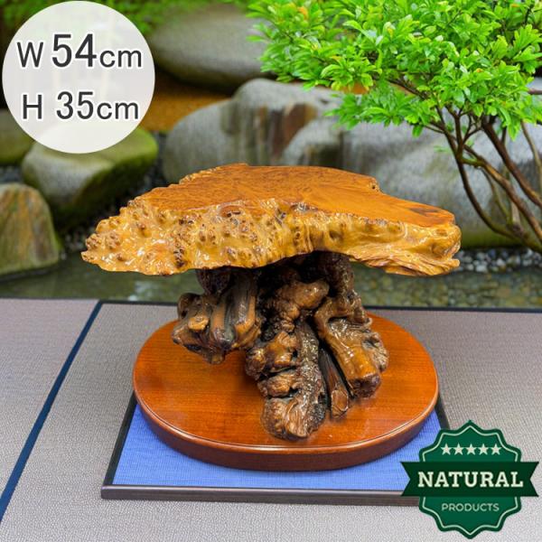 送料無料 木の根 飾り台 W54cm 花台 根卓 飾台 盆栽 台座 仏像