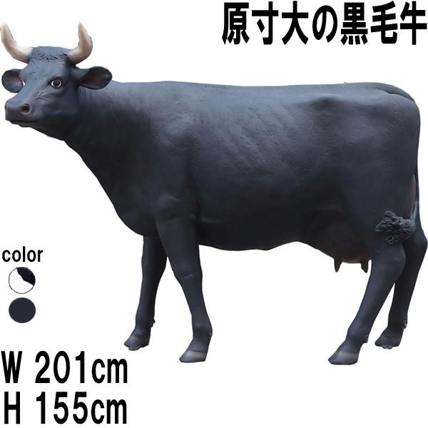 原寸大の黒毛牛 FRP オブジェ 動物 牛 黒毛 和牛 置物 うし 大型 店舗