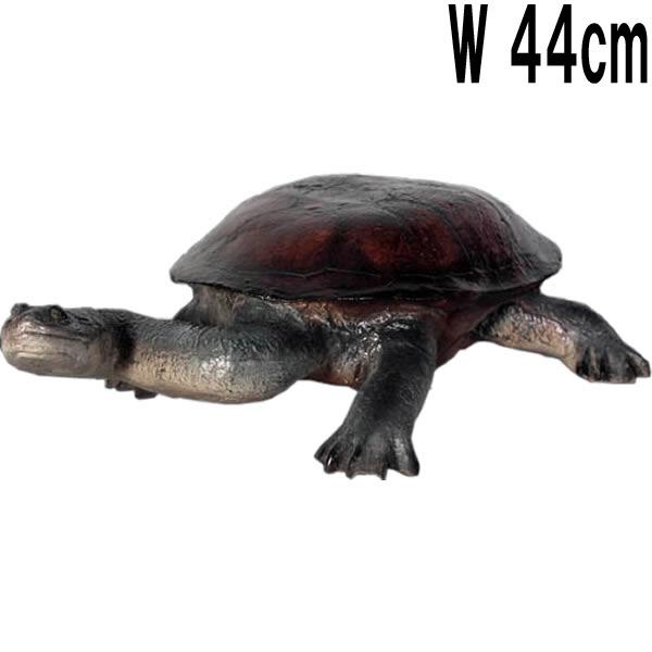 首の長い亀 W44cm 亀 カメ ナガクビガメ 爬虫類 オブジェ 置物 フィギュア 小型 小さい 飾り 装飾 イベント ディスプレイ 店舗 動物園 博物館 FRP fr100114