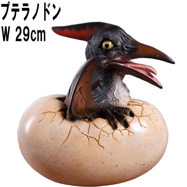 孵化するプテラノドン 恐竜 赤ちゃん リアル 卵 たまご かわいい 置物