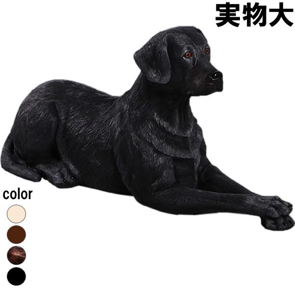 横たわるラブラドール 黒 ラブ ブラック 大型犬 リアル 実物大