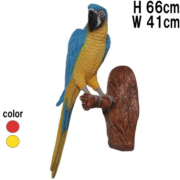 オウム 壁掛け用 鳥 渡り鳥 南国 野鳥 壁飾り インコ リアル 実物大
