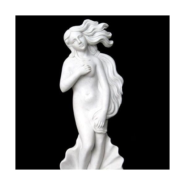 ✩.*˚アンティーク ヴィーナスオブジェ✩.*˚ 裸婦 裸像 ヴィーナス 西洋彫刻 西洋風オブジェ 洋風 モダン