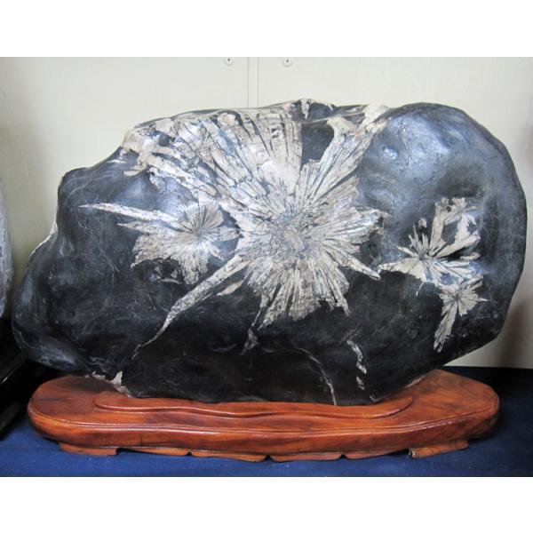 菊花石 【56】高さ約45cm 幅約68cm 台付き 景石 天然石 置物 自然石