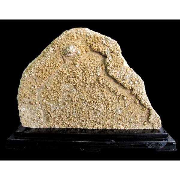 gardenart-masuki_g-sn0005