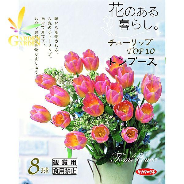 9月下旬入荷 チューリップ球根 花のある暮らし トンプース 8球入り Y1309 Seebu 0003 Gardengarden 通販 Yahoo ショッピング