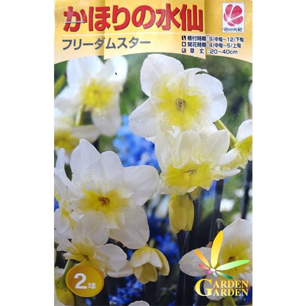 9月下旬入荷 スイセン球根 かほりの水仙 フリーダムスター 2球入り Y1709 Seebu 0113 Gardengarden 通販 Yahoo ショッピング
