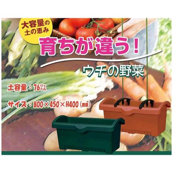 （5個セット販売）しゅうかく菜800型プランター 支柱ホルダー付き〜超 大型プランター 菜園プランター 家庭菜園 70L以上〜