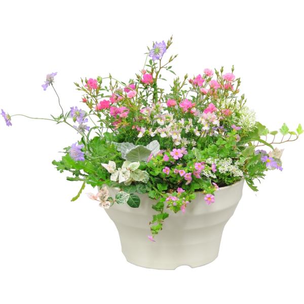 浅型ポット フレグラーボール３６型ＩＶ アイボリー 〜 ボールプランター 観葉植物から菜園まで シンプルでオシャレ
