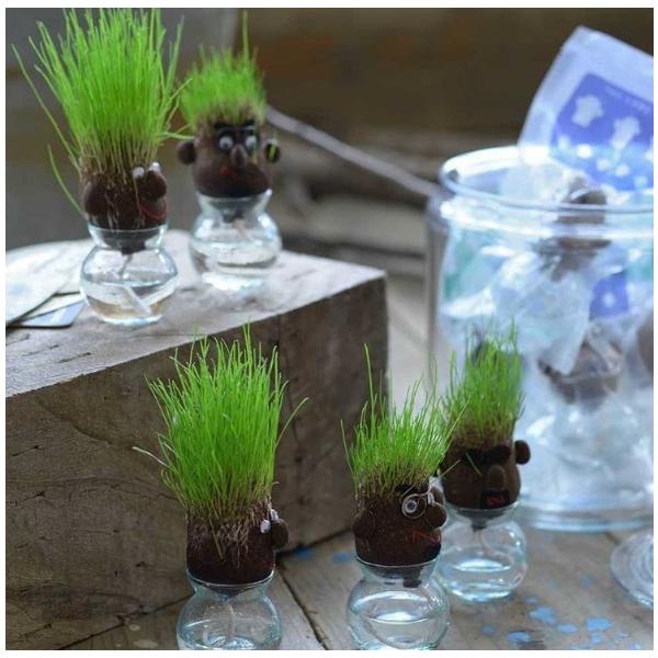 Happy !!　Have Fan !!頭から芝が生えてくる！hair LABOに家族シリーズが仲間入り♪1個のサイズ：約中身W5/D5/H9cm【hair LABOの育て方】１．数時間、頭部全体を水に浸します。※十分に水が染みていないと発...