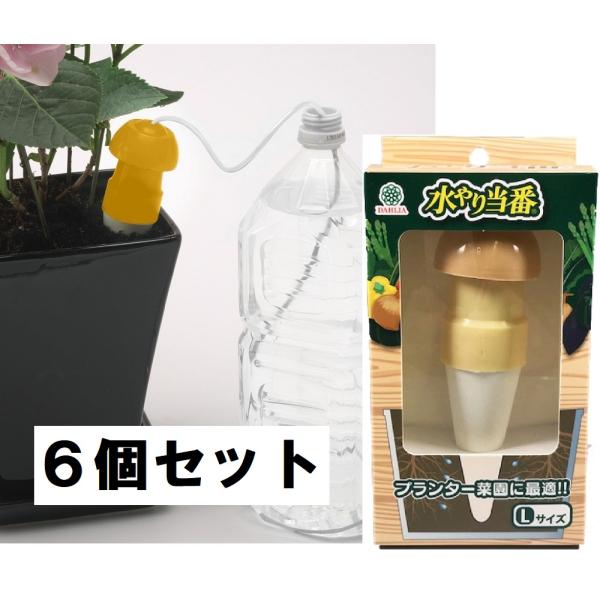 （Lサイズ6箱セット販売）水やり当番Ｌサイズｘ6個セット 〜リニューアル品 自動給水栓 鉢 プランター 観葉植物の土に差す自動簡易灌水補助 留守 旅行時に〜