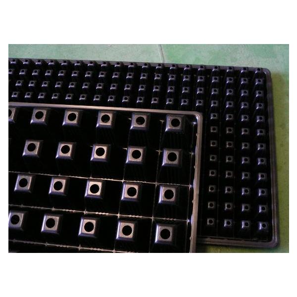 ★北海道・沖縄・その他一部地域への配送受付終了のお知らせ★大変申し訳ございません。こちらの商品は、北海道・沖縄・その他一部地域への配送が出来なくなりました。システム上、該当地域へのご注文は可能ですが、後程店舗が確認次第（受注確認のメール送信...