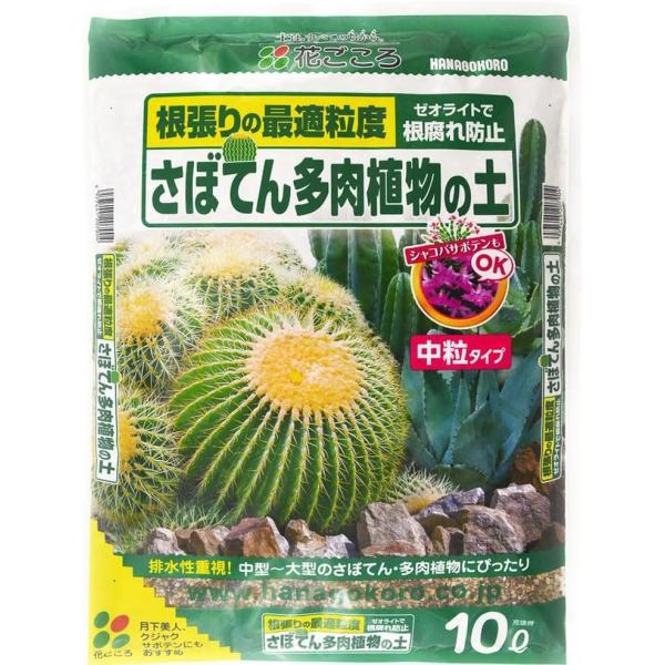 （2袋セット販売）花ごころ　さぼてん多肉植物の土　20L（10Ｌｘ2袋） 〜シャコバ サボテン クジャク 月下美人にも