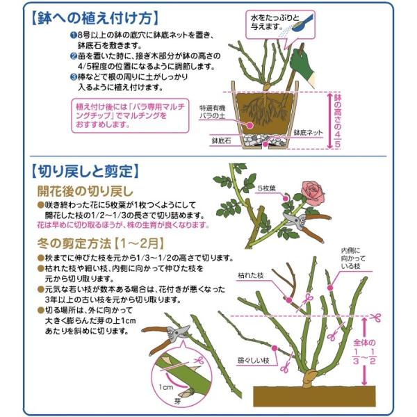 花ごころ 特選有機バラの土 Sensations15l Buyee Buyee Japanese Proxy Service Buy From Japan Bot Online
