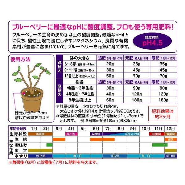 16c1 ガーデニングどっとコム店 園芸用品 花ごころブルーベリーの肥料19 2kg 1 2ｋｇｘ16袋 肥料 薬品 肥料 活力剤 ケース販売