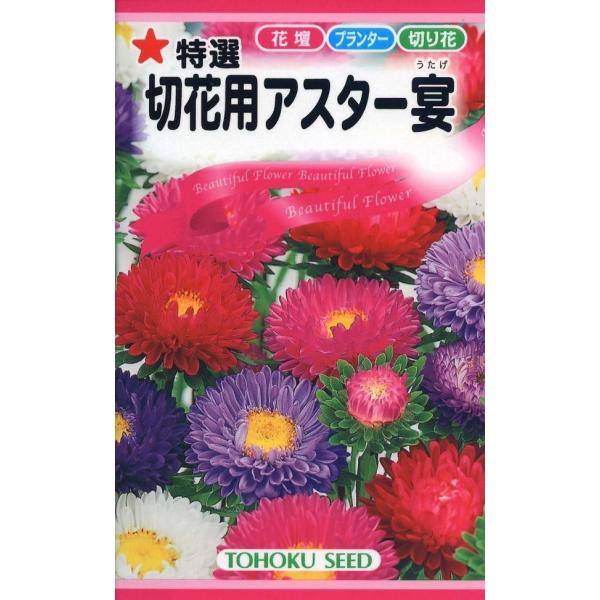 yqzI ؉ԗpAX^[ g[zÑ^l