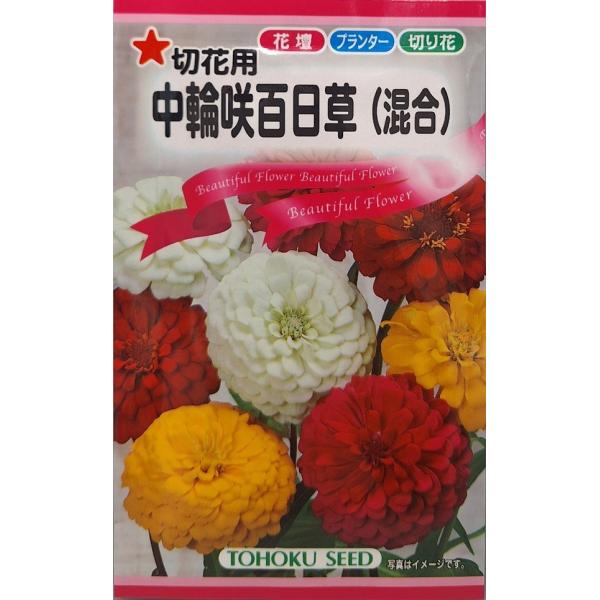 花種子 切花用 中輪咲百日草(混合) トーホクのタネ : Gardener s Shop