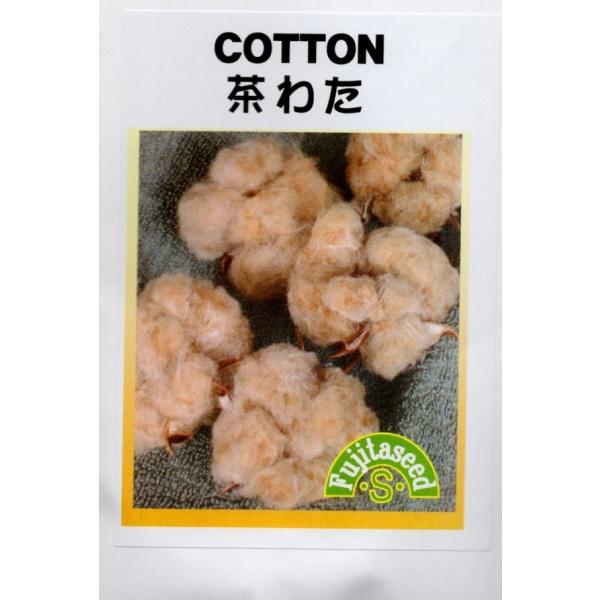 短繊維タイプで、クッションの中綿、手芸に利用できます。観賞用、切花としてもおすすめです。