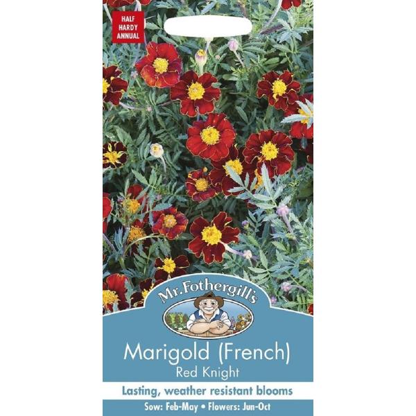 yqzMr.Fothergill's Seeds Marigold (French) Red Knight }[S[hit`j bhEiCg ~X^[EtHU[MYEV[h