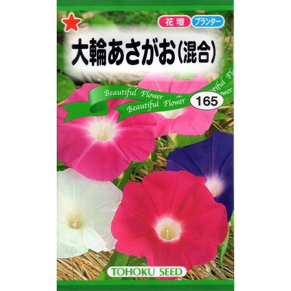 大輪朝顔の混合品種です。あんどん作りにも最適です。肥料とお水が大好きです。つぼみが出始めたらたっぷりあげてください。ただし、日中は避けて夕方涼しくなってから与えてくださいね。
