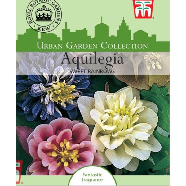 Ideal for adding sweet scentsation to any border.Selected for form colour and the best fragrance.ボーダーに甘い香りを添えるのに最適。花色と香り...