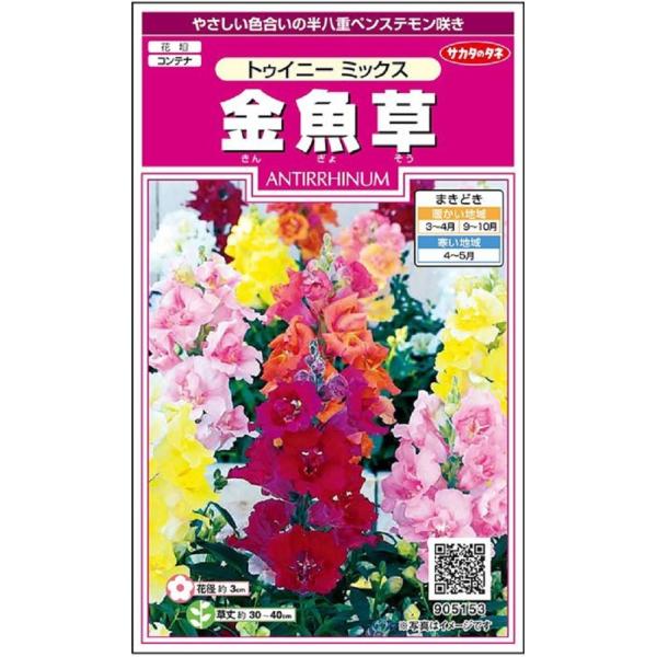 豪華な花が特徴の半八重ペンステモン咲き品種です。花壇では草丈30〜40cmとなり、やさしい色合いの花を上向きに咲かせます。花壇、コンテナに向きます。【品種名】：トゥイニーローズ、トゥイニーブロンズシェード、他5種類