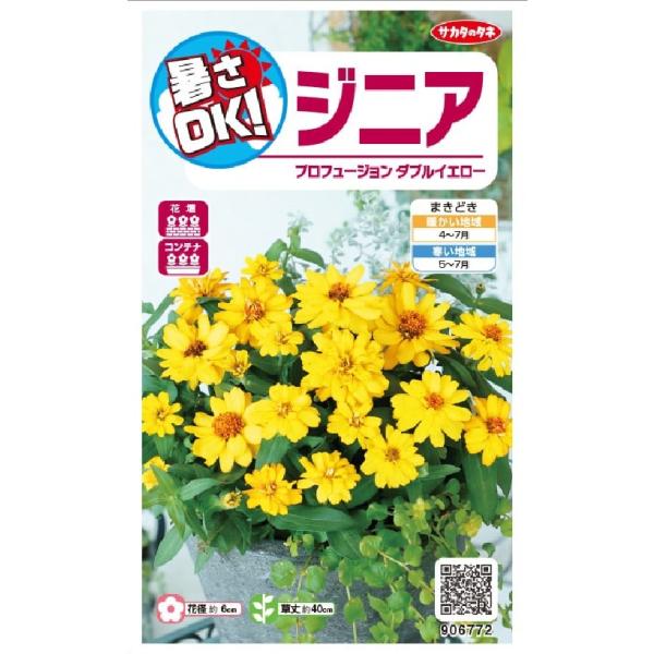 サカタのタネ育成の品種。生育旺盛で暑さや病気に強く、多花性なプロフュージョンシリーズ。花径約6cmの半八重咲きタイプで鮮やかな黄色の花が夏から秋まで咲き続けます。品種名：SAKZIN012