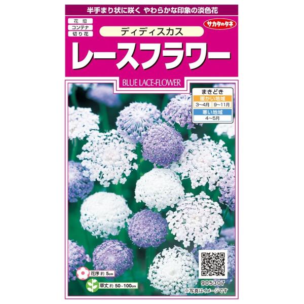 ごく小さな花が約5cmほどの半手まり状に集まり、中心部からわき上がるように咲きます。茎や葉は柔毛におおわれ、スプレー状の草姿は洋花的趣があり、花もちのよい切り花になります。