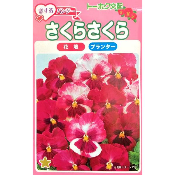 ローズ色を基調に模様や色調が株によってひとつひとつ異なります。落ち着いた桃色からやさしく軽やかなさくら色までバリエーションが楽しめます。