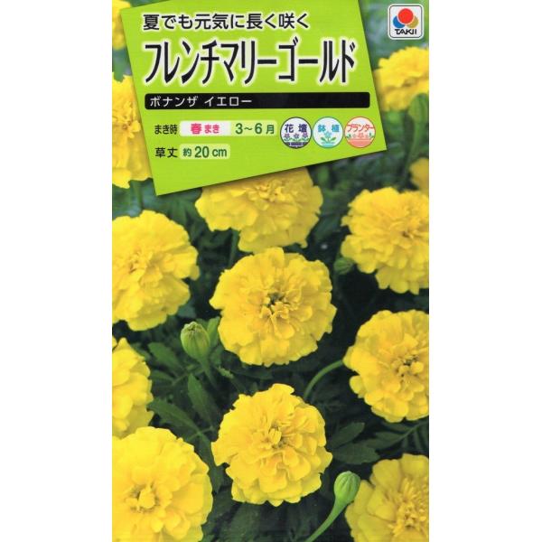 コンパクトな株に5〜6cmの大きな八重咲きの花がを咲かせるタイプです。花色は純黄色で、早くから花をつけ、大株になっても株姿がくずれにくく、花壇・プランター・鉢植えに最適です。