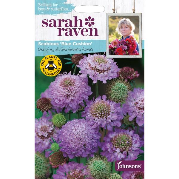期限切れ（2026年12月）間近のため売り尽くしセール！ 簡単に栽培できる、背の高い茎にミッド・ブルーの『ピン・クッション（針山）』のような花を着ける 『クラシック・コテージ・ボーダー・プランツ』。切り花にも向く上、蝶やミツバチもやって来きます。