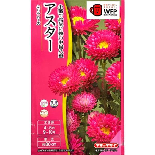花径約5cmの中大輪八重品種の中生タイプ。花弁が長く、ボリュームのある花型。小葉で基部分枝が少なく、密植栽培にも向く。フザリウムにも比較的強い。